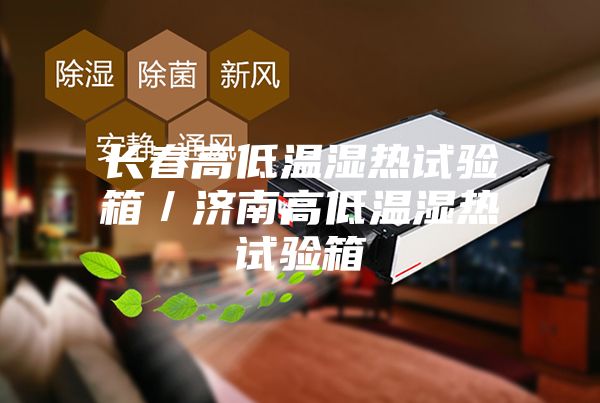 长春高低温湿热试验箱／济南高低温湿热试验箱