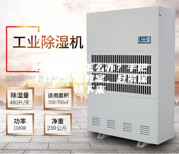 地下室潮湿怎么办？手把手教学除湿教案，赶紧保持下来