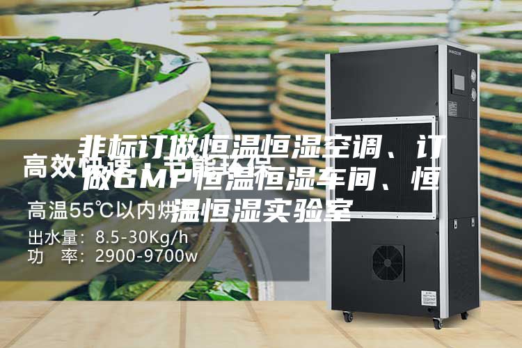 非标订做恒温恒湿空调、订做GMP恒温恒湿车间、恒温恒湿实验室