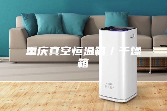 重庆真空恒温箱／干燥箱