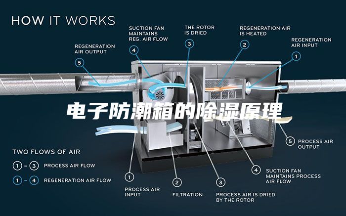电子防潮箱的除湿原理