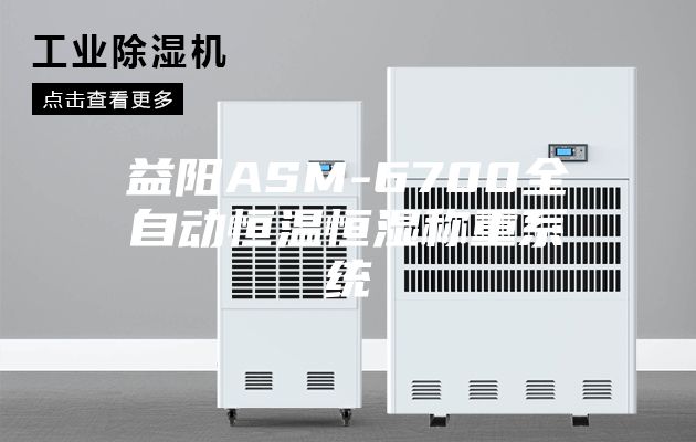 益阳ASM-6700全自动恒温恒湿称重系统