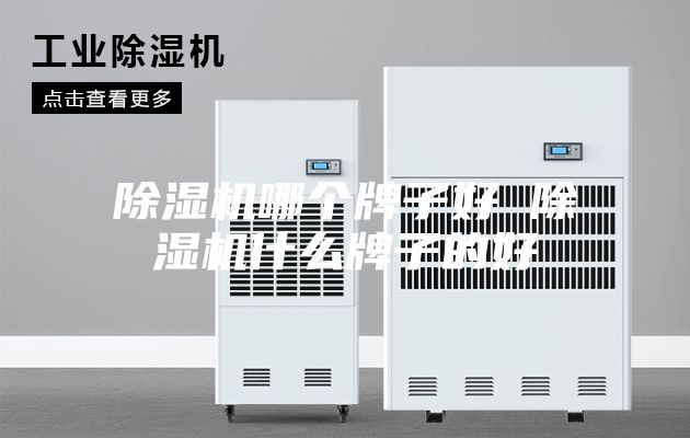 除湿机哪个牌子好 除湿机什么牌子的好