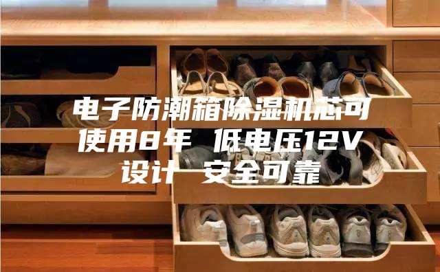 电子防潮箱除湿机芯可使用8年 低电压12V设计 安全可靠