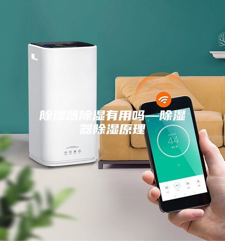 除湿器除湿有用吗—除湿器除湿原理