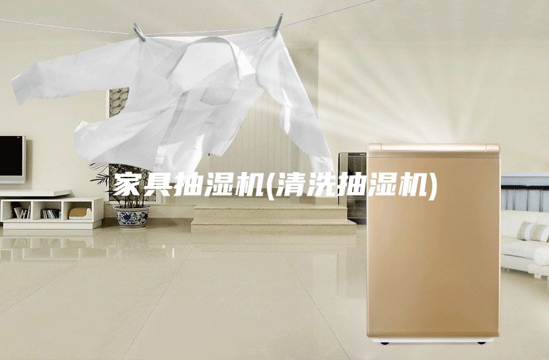 家具抽湿机(清洗抽湿机)
