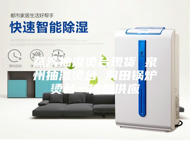 蒸汽抽湿烫台现货 泉州抽湿烫台 羽田锅炉烫台一体机供应