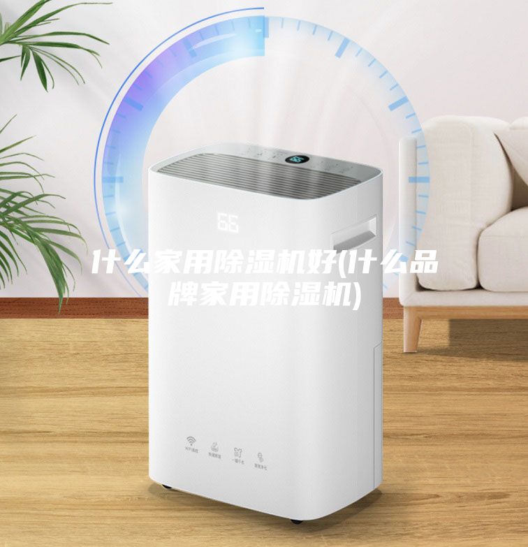 什么家用除湿机好(什么品牌家用除湿机)