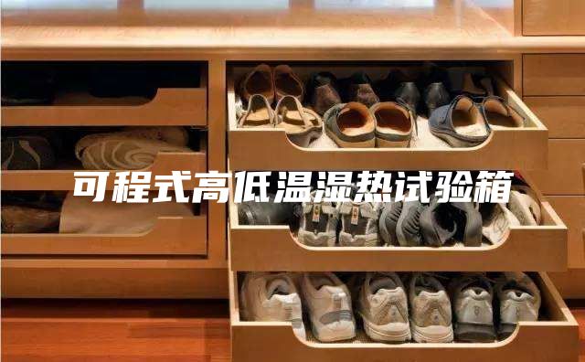可程式高低温湿热试验箱