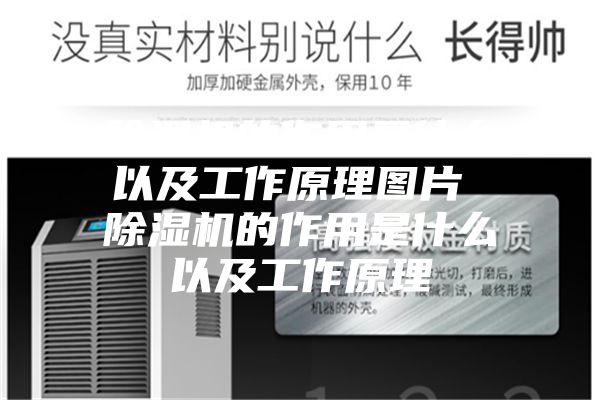 除湿机的作用是什么以及工作原理图片 除湿机的作用是什么以及工作原理