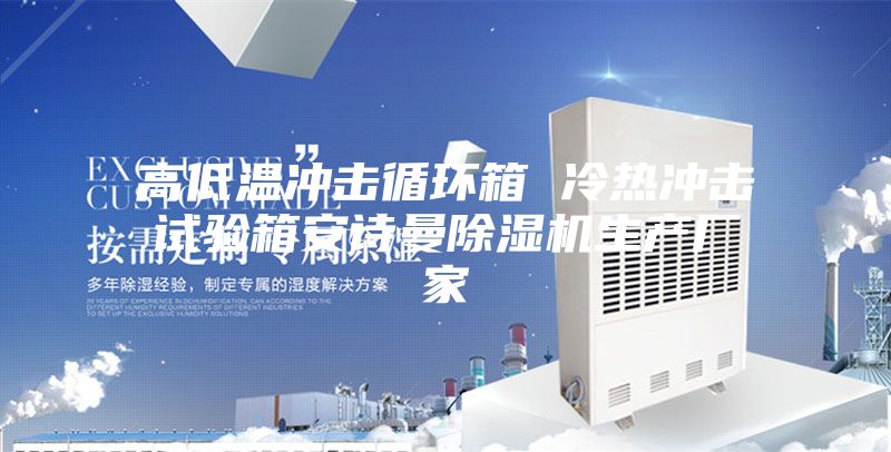 高低温冲击循环箱 冷热冲击试验箱安诗曼除湿机生产厂家