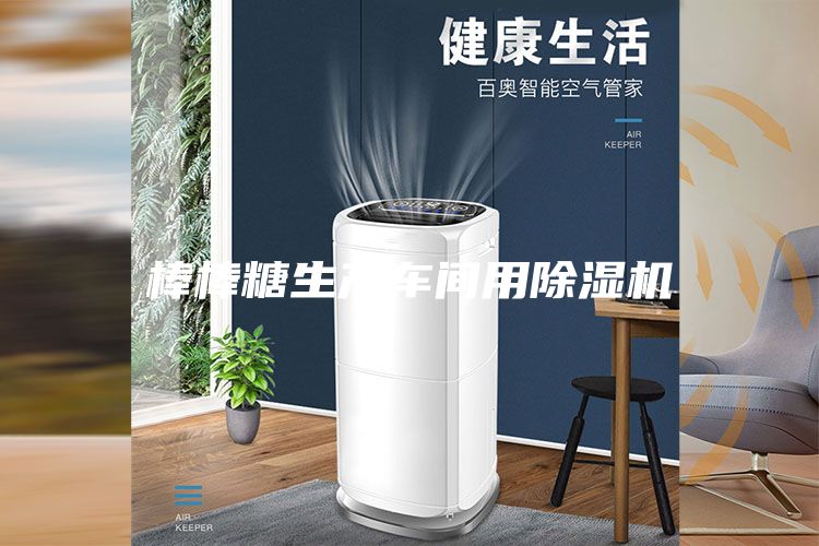 棒棒糖生产车间用除湿机