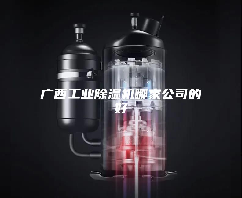 广西工业除湿机哪家公司的好