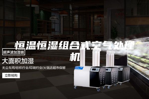 恒温恒湿组合式空气处理机