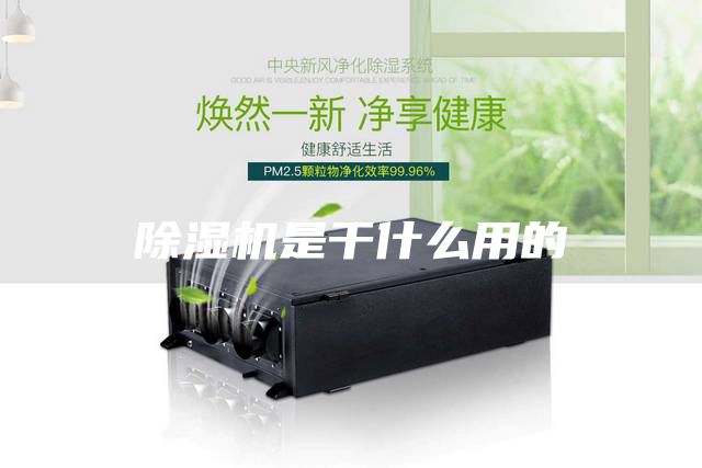 除湿机是干什么用的