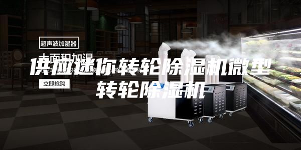 供应迷你转轮除湿机微型转轮除湿机