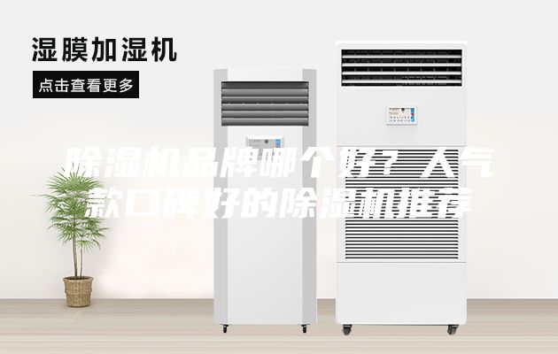 除湿机品牌哪个好？人气款口碑好的除湿机推荐