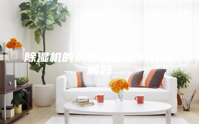除湿机的利弊有哪些?你了解吗