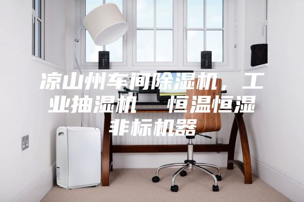 凉山州车间除湿机，工业抽湿机  恒温恒湿非标机器
