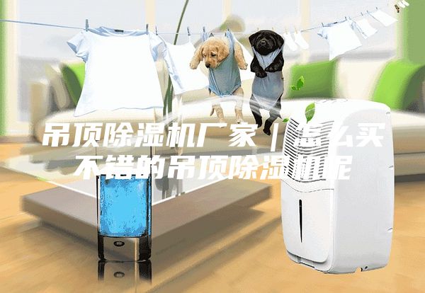 吊顶除湿机厂家|怎么买不错的吊顶除湿机呢