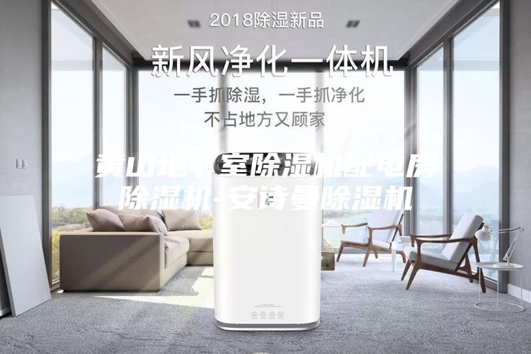 黄山地下室除湿机配电房除湿机-安诗曼除湿机