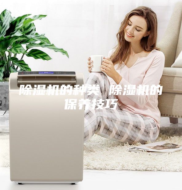 除湿机的种类 除湿机的保养技巧