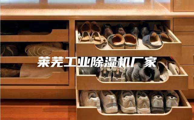 莱芜工业除湿机厂家