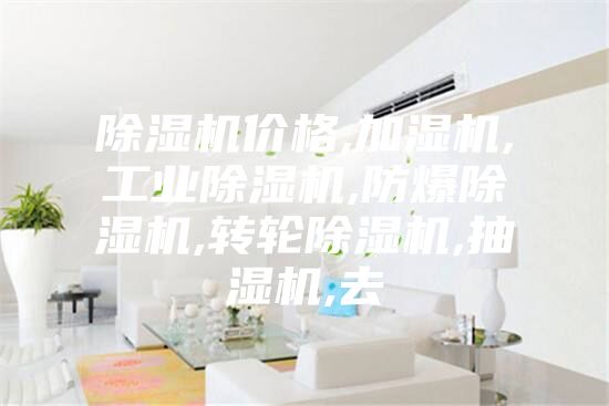 除湿机价格,加湿机,工业除湿机,防爆除湿机,转轮除湿机,抽湿机,去