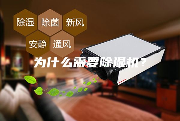 为什么需要除湿机？