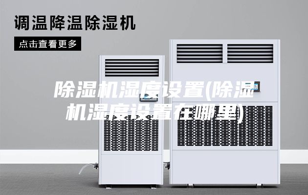 除湿机湿度设置(除湿机湿度设置在哪里)