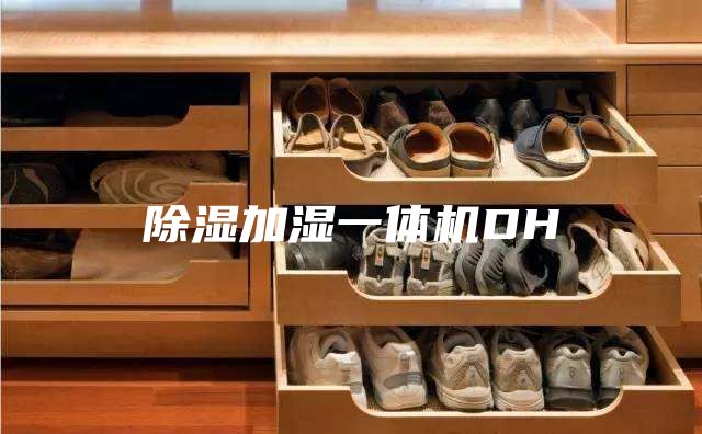 除湿加湿一体机DH