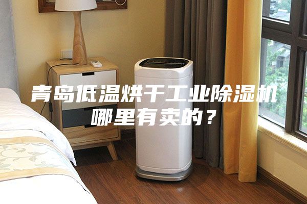 青岛低温烘干工业除湿机哪里有卖的？