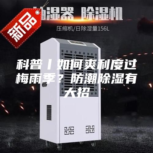 科普丨如何爽利度过梅雨季？防潮除湿有大招