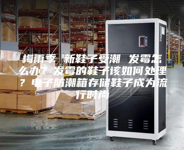 梅雨季 新鞋子受潮 发霉怎么办?发霉的鞋子该如何处理?电子防潮箱存储鞋子成为流行时尚