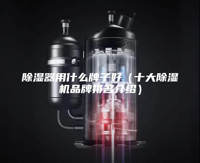 除湿器用什么牌子好(十大除湿机品牌排名介绍)