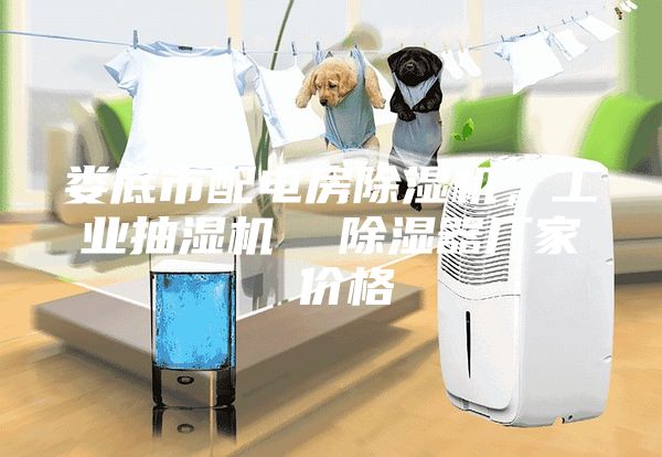 娄底市配电房除湿机，工业抽湿机  除湿器厂家 价格
