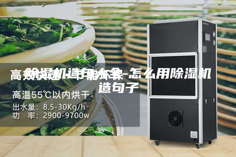 除湿机造句大全-怎么用除湿机造句子