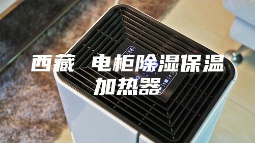 西藏 电柜除湿保温加热器