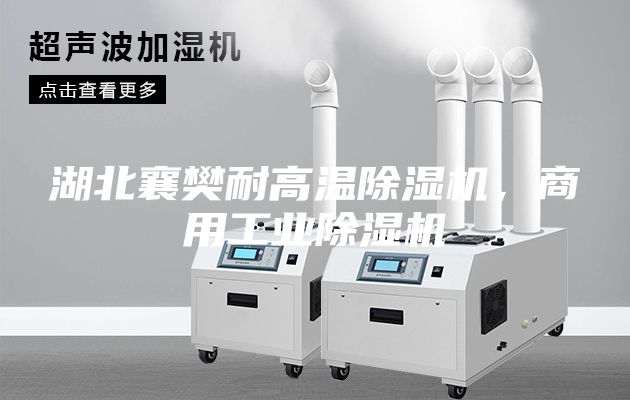 湖北襄樊耐高温除湿机，商用工业除湿机