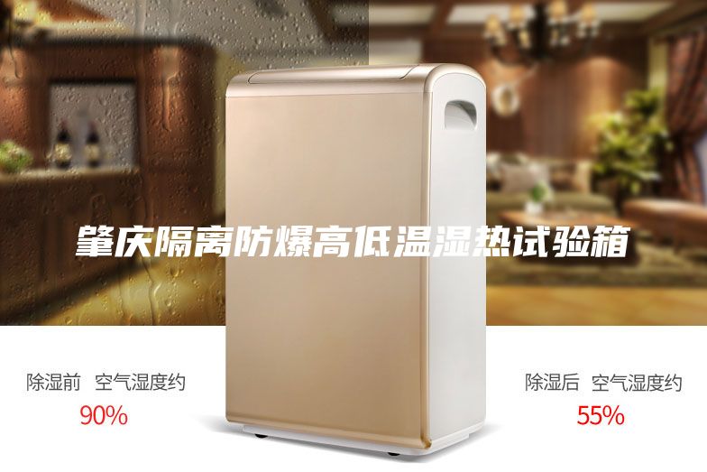 肇庆隔离防爆高低温湿热试验箱