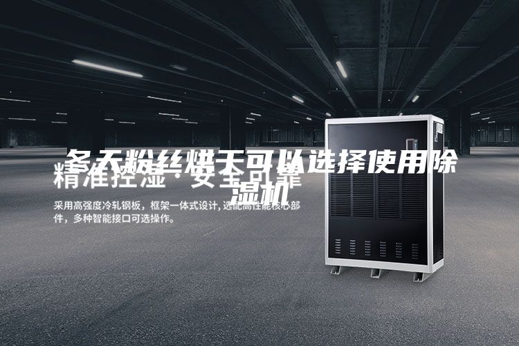 冬天粉丝烘干可以选择使用除湿机