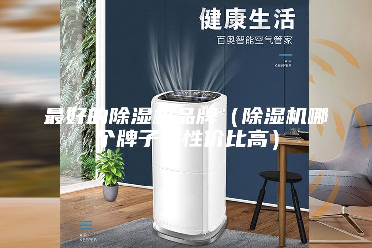 最好的除湿机品牌（除湿机哪个牌子好性价比高）