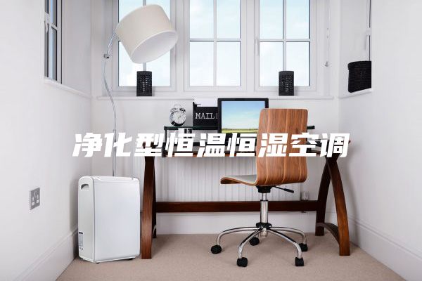 净化型恒温恒湿空调