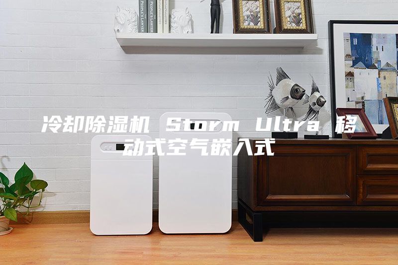 冷却除湿机 Storm Ultra 移动式空气嵌入式