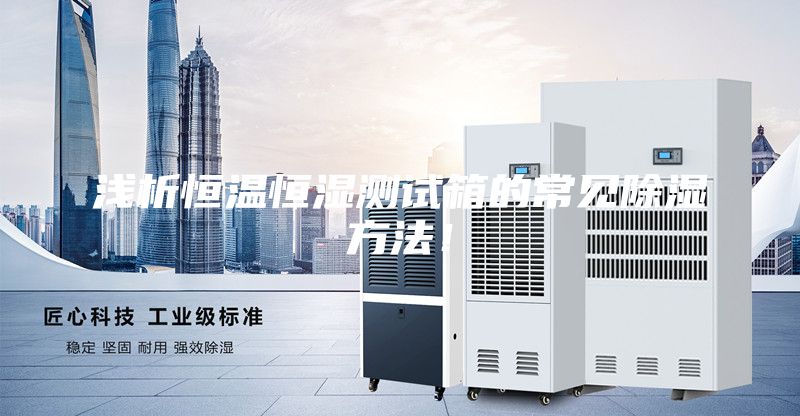 浅析恒温恒湿测试箱的常见除湿方法!