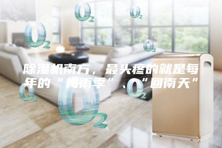 除湿机南方，最头疼的就是每年的“梅雨季”、“回南天”