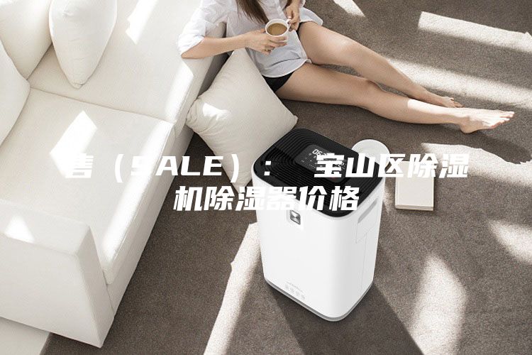 售(SALE): 宝山区除湿机除湿器价格