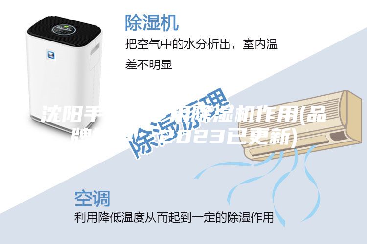 沈阳手套箱专用除湿机作用(品牌推荐：2023已更新)
