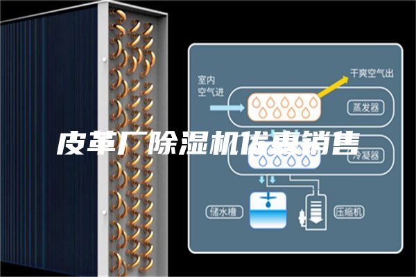 皮革厂除湿机优惠销售