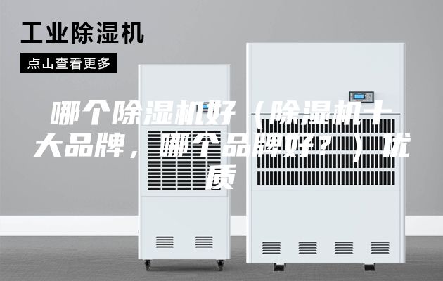 哪个除湿机好（除湿机十大品牌，哪个品牌好？）优质